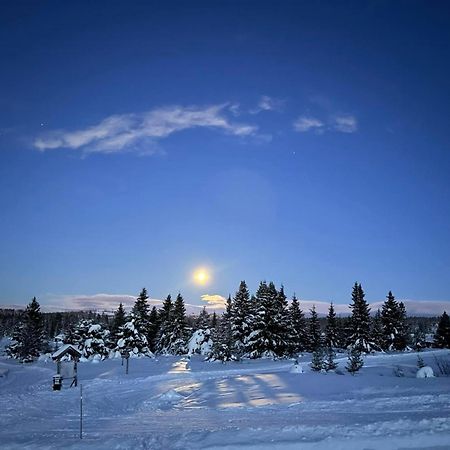 Nordseter Fjellpark, Hyttegrend Ngoại thất bức ảnh