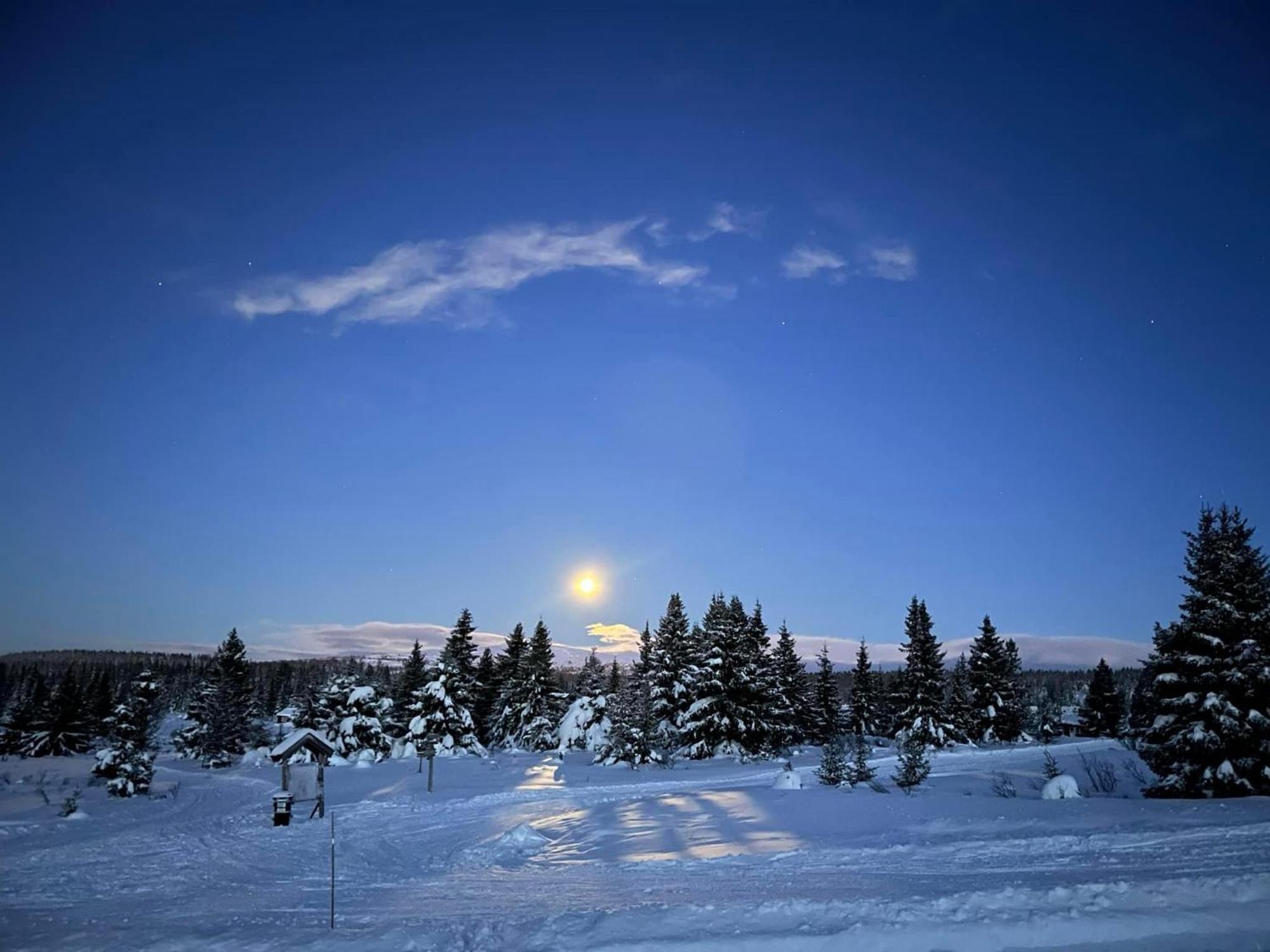 Nordseter Fjellpark, Hyttegrend Ngoại thất bức ảnh