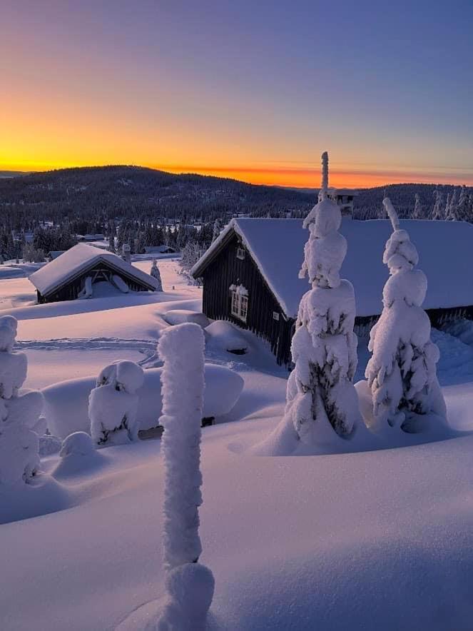 Nordseter Fjellpark, Hyttegrend Phòng bức ảnh